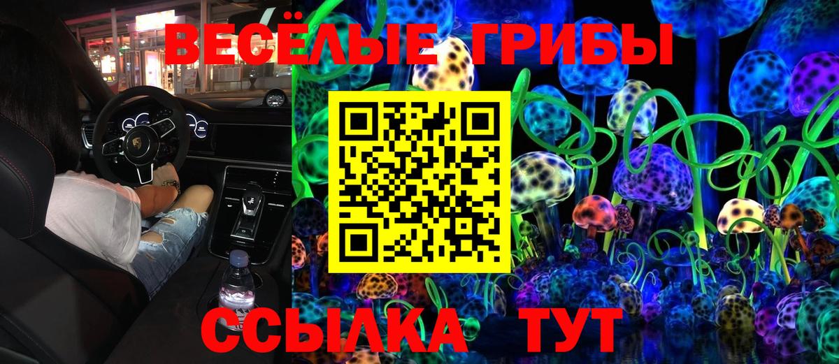 Ульяновск  Псилоцибиновые грибы MAGIC MUSHROOMS  Вход с VPN 